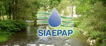   SIAEPAP image  